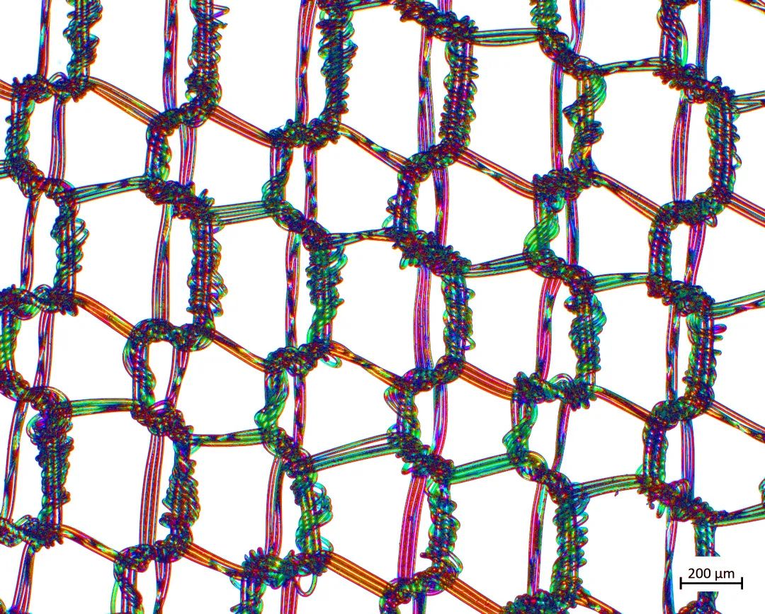 奉节蔡司场发射奉节扫描电镜