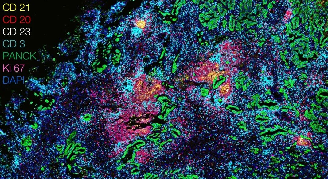 奉节奉节蔡司显微镜