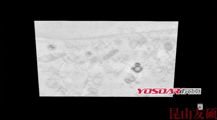 FIB奉节扫描电镜