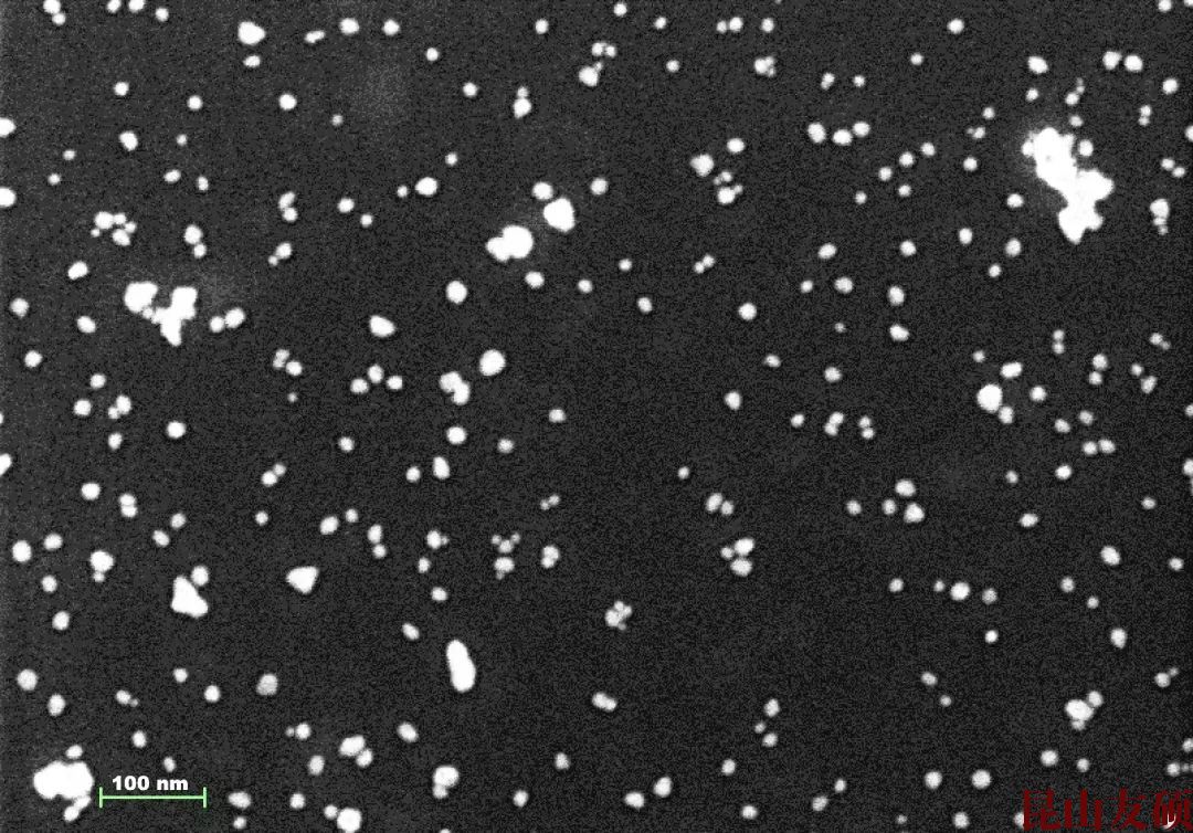 奉节奉节蔡司奉节扫描电镜