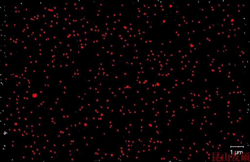 奉节奉节蔡司奉节扫描电镜